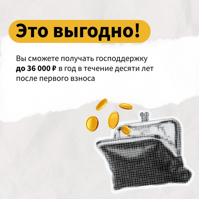 foto 2025 08 13 11 06 008